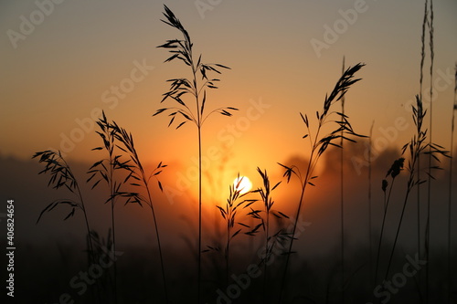 Summer sunset in a bent field. Sunset in the field. © Inita
