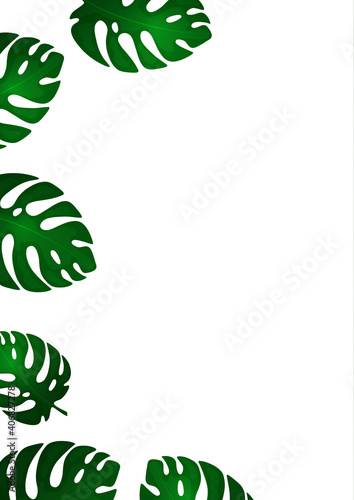 Trendy natural design of bright monstera leaves, place for text, white background. Botanical vector illustrations for advertising.