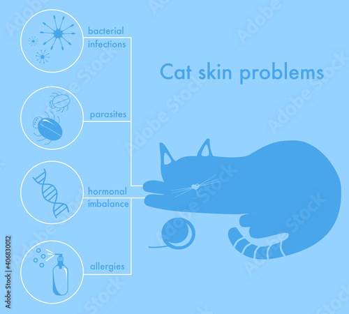 Cat skin problems.Infographics icons with different reasons of allergy,itching and scabs.Feline healthcare.Banner for vet clinic.Hair loss,pimples.Animal parasites and hormonal imbalance.Vector.Blue