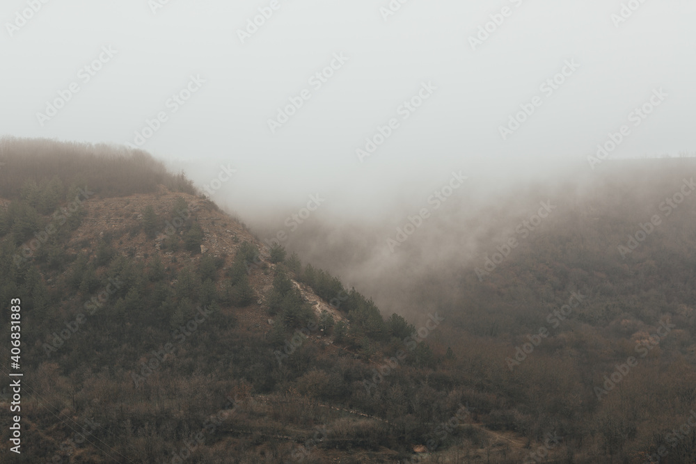 Hills with green pines in fog. Beautiful landscape.