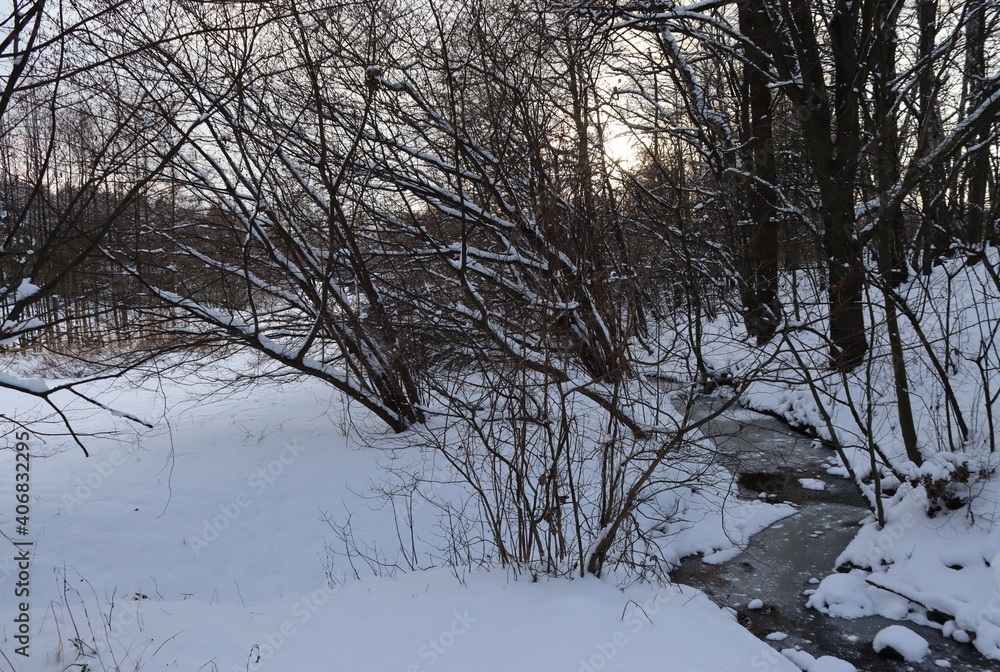 Frozen trough of a stream.