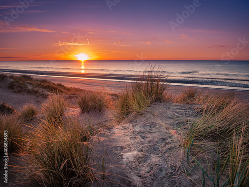 Colorful sunset behing marram grass covered dunes at he beach