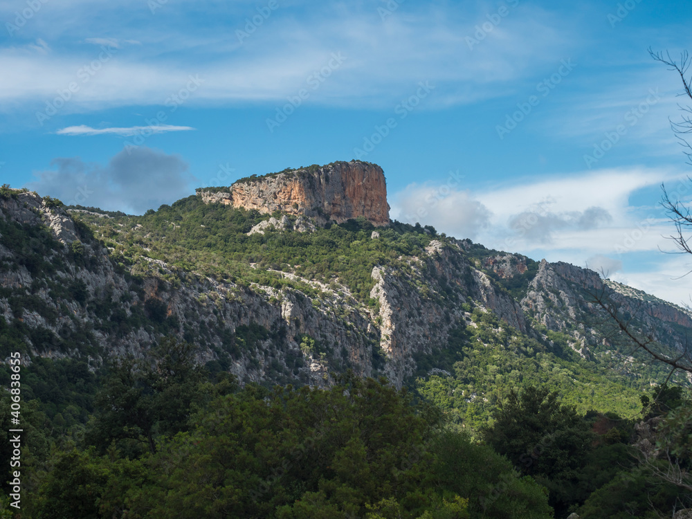 View of green forest landscape of Supramonte Mountains with limestone rock and mediterranean vegetation, Nuoro, Sardinia, Italy. Summer cloudy day