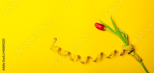 One red tulip and centimeter tape on a yellow background with copy space text place. Fitness greeting card. International Woman Day or Mother Day. Sewing handicraft hobby store. Flower shop. Slimming
