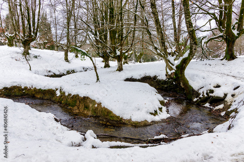 Otzarreta beech forest snowed, Gorbea Natural Park, Basque Country, Spain.