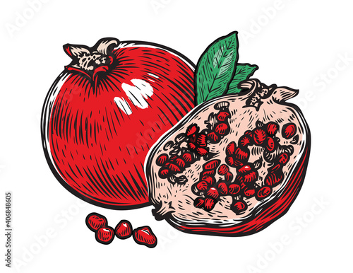 Pomegranate fruit vector. Whole, half fruit and garnet seed grain