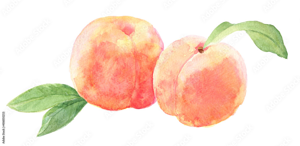 桃 2つのモモとモモの葉 水彩画 Stock Illustration Adobe Stock