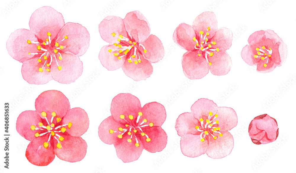 水彩　梅の花　素材集
