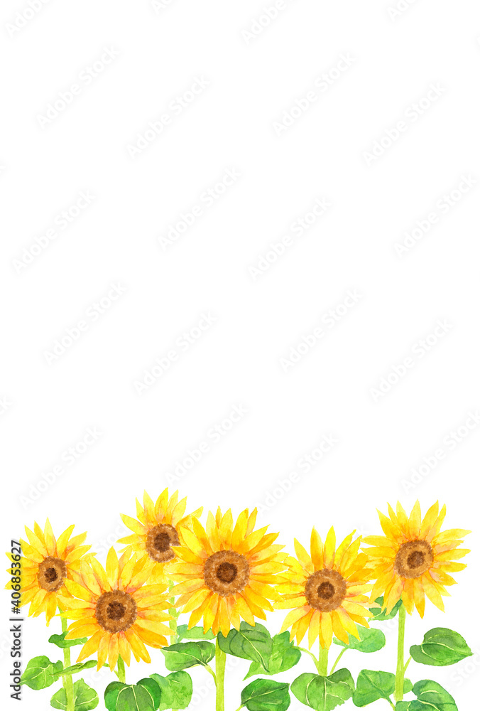Fototapeta premium ヒマワリ 背景素材 縦 フレーム 水彩