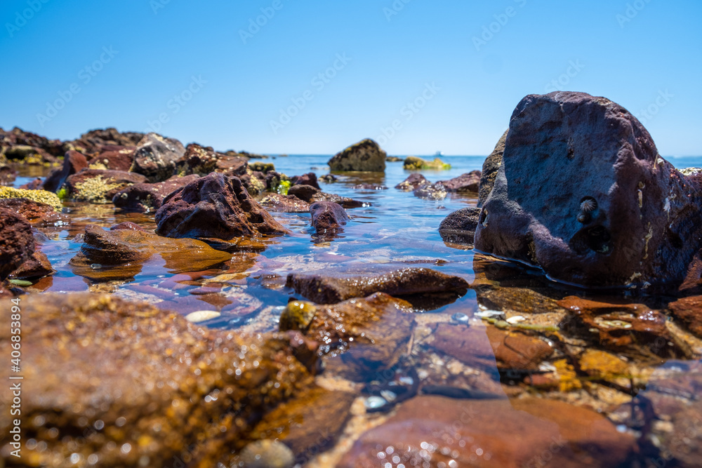 Large boulders with seashells in shallow ocean bay water on bright summer day