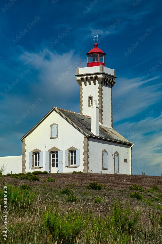 Foals Lighthouse on cliffs of Belle-Ile-en-Mer Foals Lighthouse on cliffs of Belle-Ile-en-Mer