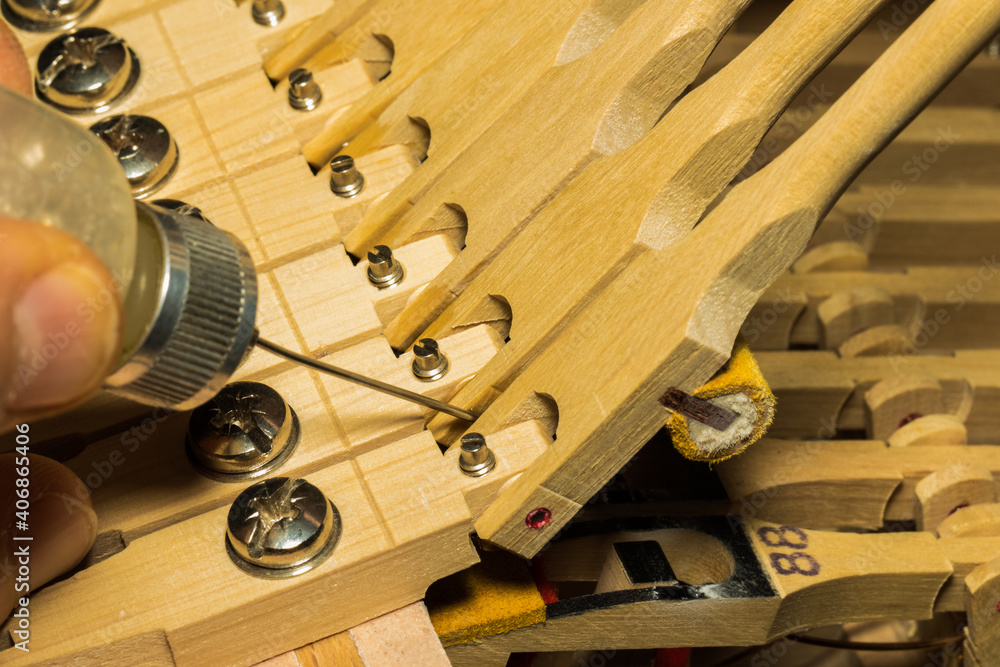 Macro Image of Grand Piano Hammer Shank and Knuckle Stock Photo Adobe