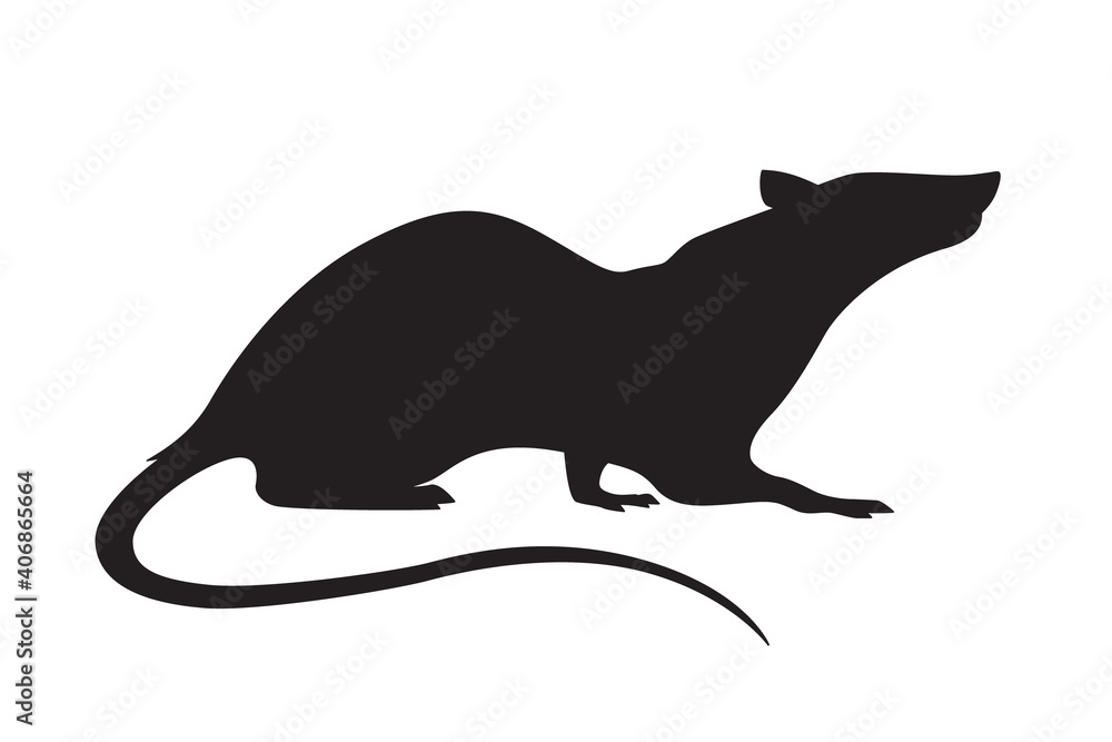 Vector animal illustration of rat, simple black rodent silhouette isolated on white background Vector animal illustration of rat, simple black rodent silhouette isolated on white background