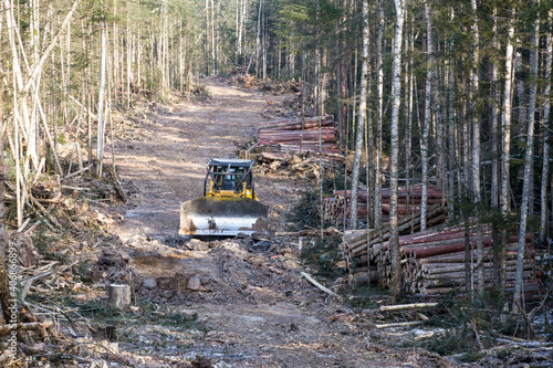 Allocated in the winter taiga, where conifers are cut down. A large yellow bulldozer clears forest clearings of small twigs and branches.