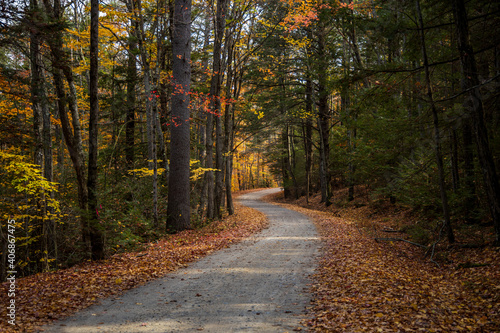 Graveled road in fall forest