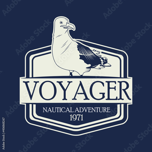 seagull bird nautical emblem in blue background
