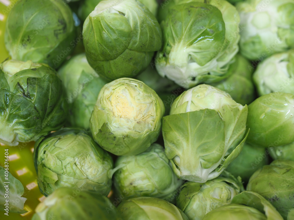 Fototapeta premium brussels sprout cabbage vegetables food