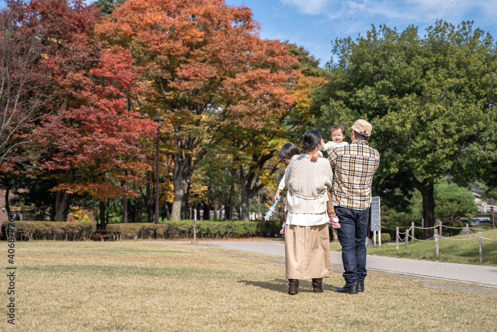 Fototapeta premium 秋の公園で遊ぶ家族・ファミリー 