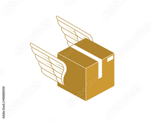 Box package delivery with wings