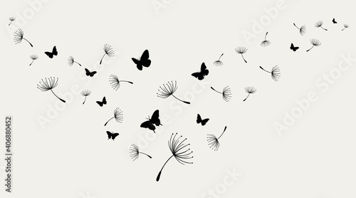 Dandelion with flying butterflies and seeds, vector illustration