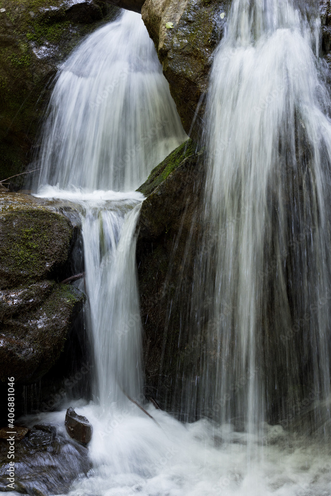 Fototapeta premium waterfall in the forest
