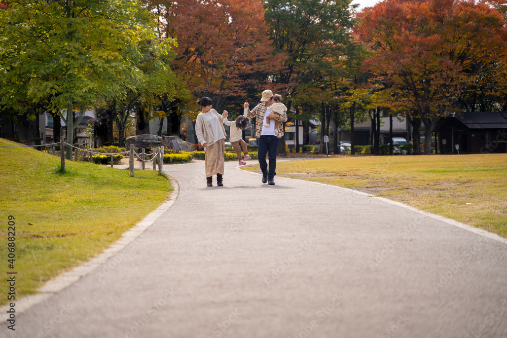 Fototapeta premium 秋の公園で遊ぶ家族・ファミリー