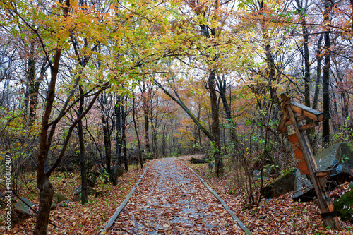 The beautiful autumn landcsape of Jinlong Mountain of Harbin, China. photo