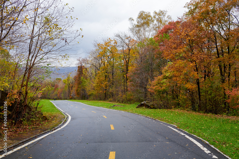 Fototapeta premium The beautiful autumn landcsape of Jinlong Mountain of Harbin, China.