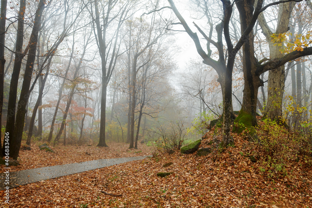 The beautiful autumn landcsape of Jinlong Mountain of Harbin, China. The beautiful autumn landcsape of Jinlong Mountain of Harbin, China.