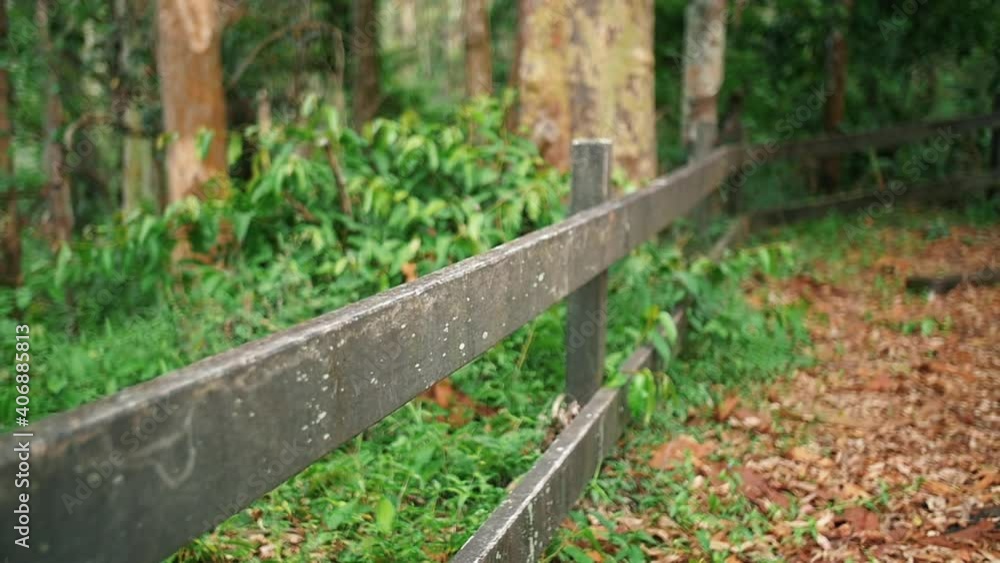 Wooden Fence Somewhere In The Forest - approach Wooden Fence Somewhere In The Forest - approach