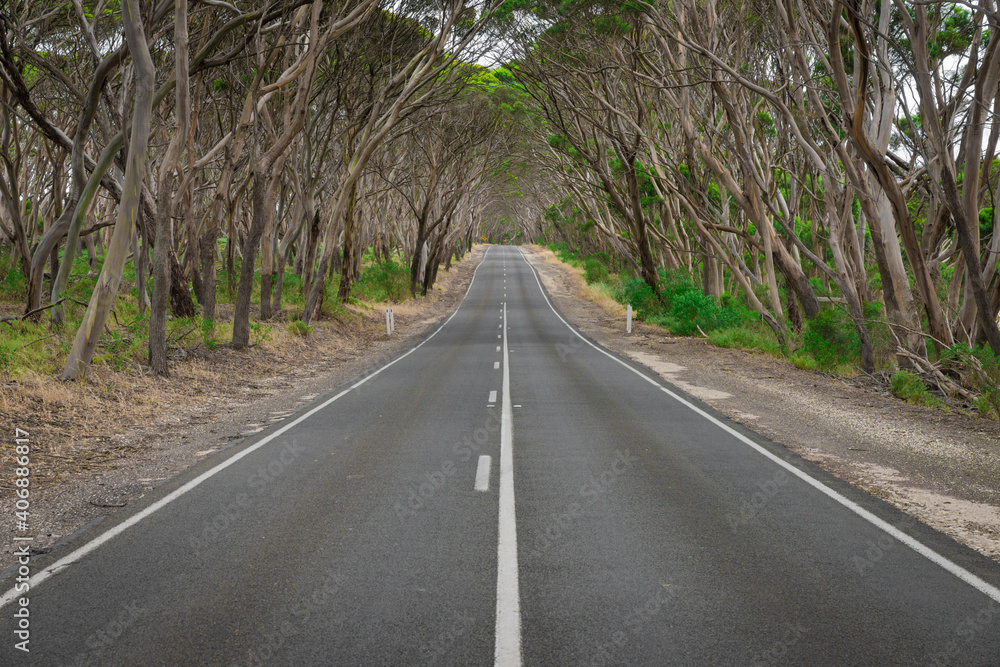 Kangaroo Island rural road South Australian landscape in remote area. Kangaroo Island rural road South Australian landscape in remote area.
