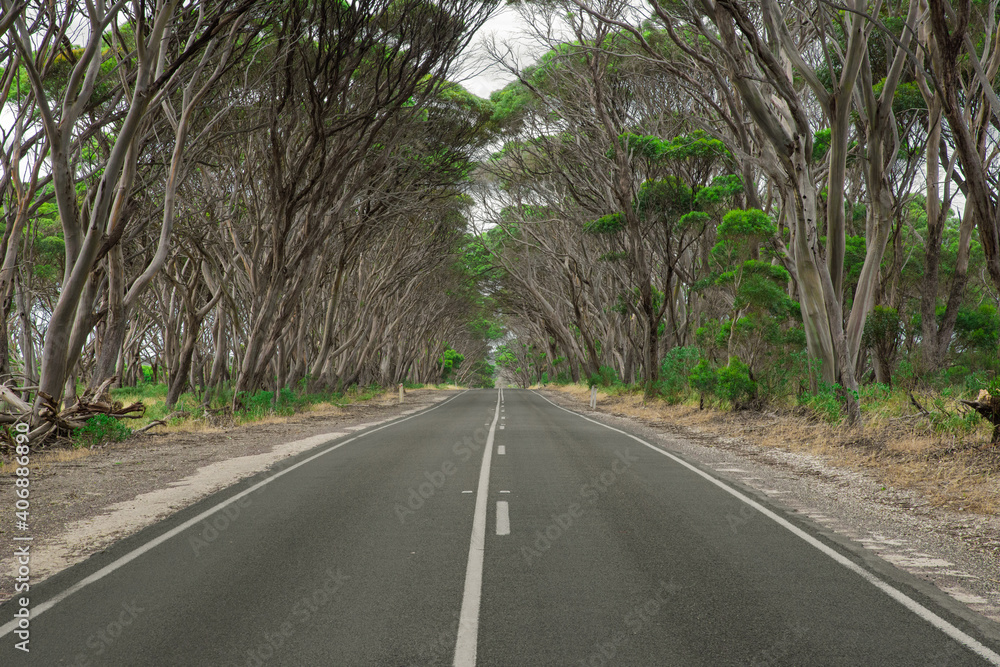 Obraz premium Kangaroo Island rural road South Australian landscape in remote area.