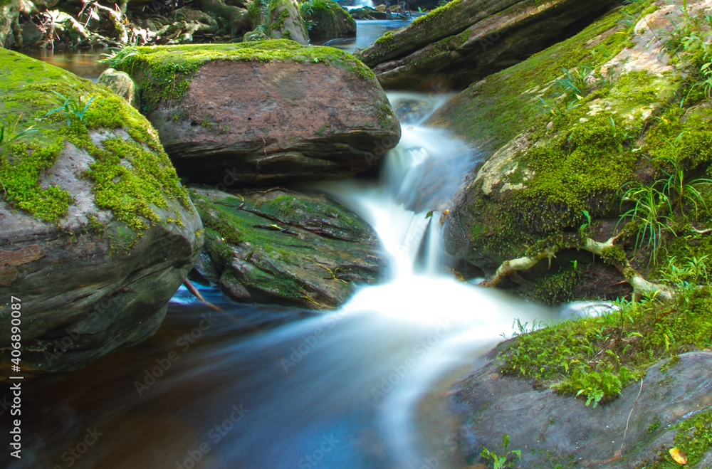 Obraz premium small stream in the forest