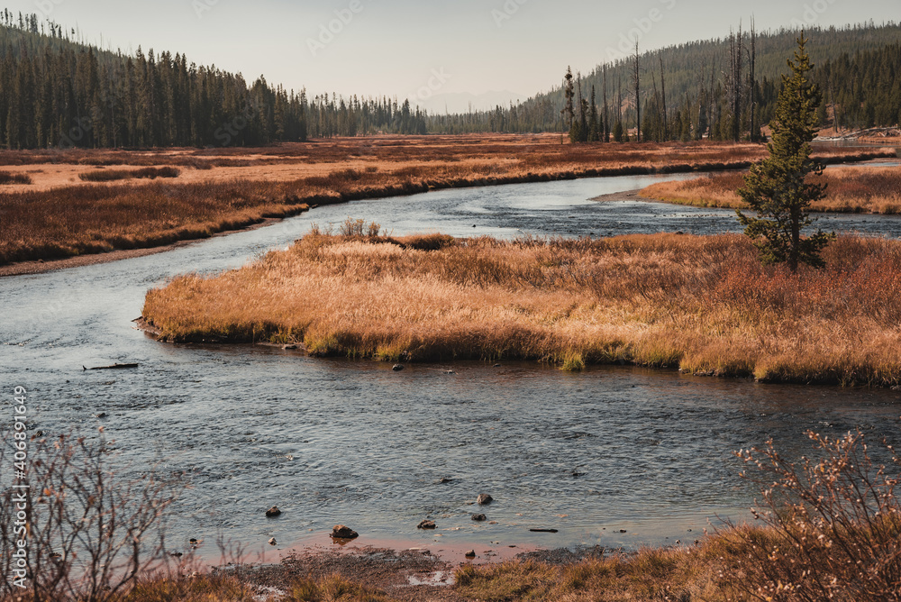 river in the yellowstone meadows