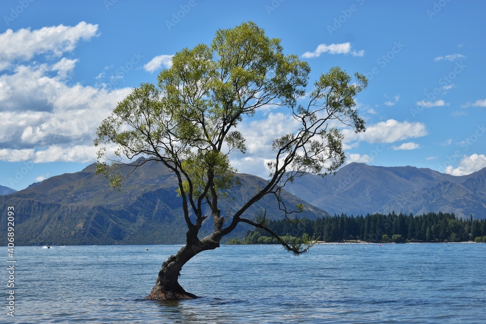 New Zealand, 'That Wanaka Tree' is a famous lone tree in Wanaka Lake. It is said to be one of the most photographed trees in all NZ and is a symbol of hope and endurance. New Zealand, 'That Wanaka Tree' is a famous lone tree in Wanaka Lake. It is said to be one of the most photographed trees in all NZ and is a symbol of hope and endurance.