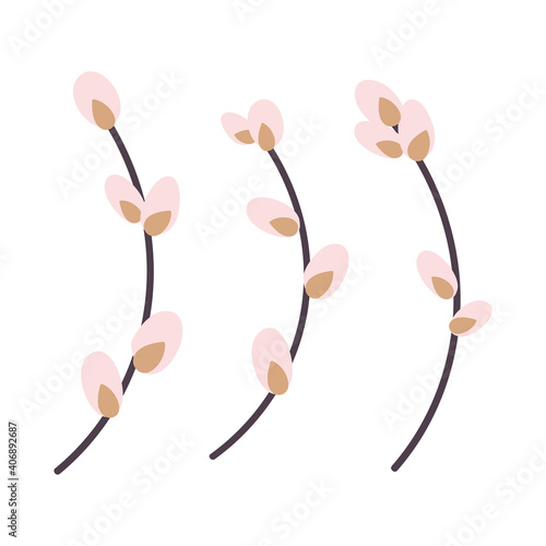  Willow twig isolated on a white background. Easter willow.Flat vector illustration. Design for Easter, packaging