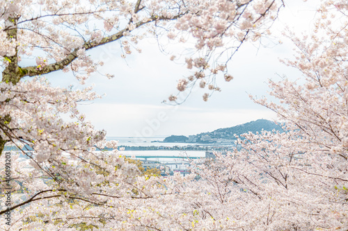 紀三井寺から見た景色と海