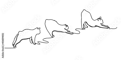 Continuous line of cat's stetching steps. cat stretching vector
