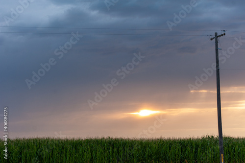 Nampa Idaho Farmland Sunset Cornfield 