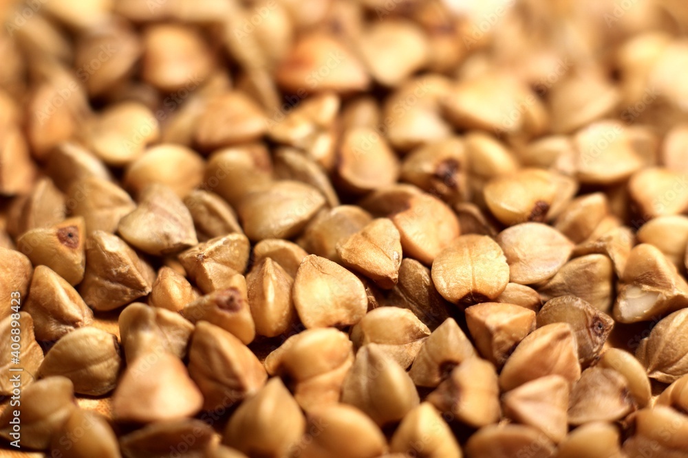 brown buckwheat grains close-up brown buckwheat grains close-up