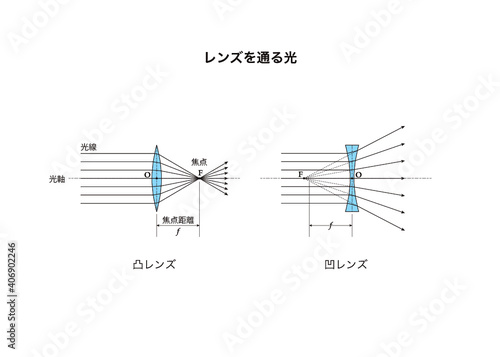 レンズを通る光の経路図、凸レンズ、凹レンズ