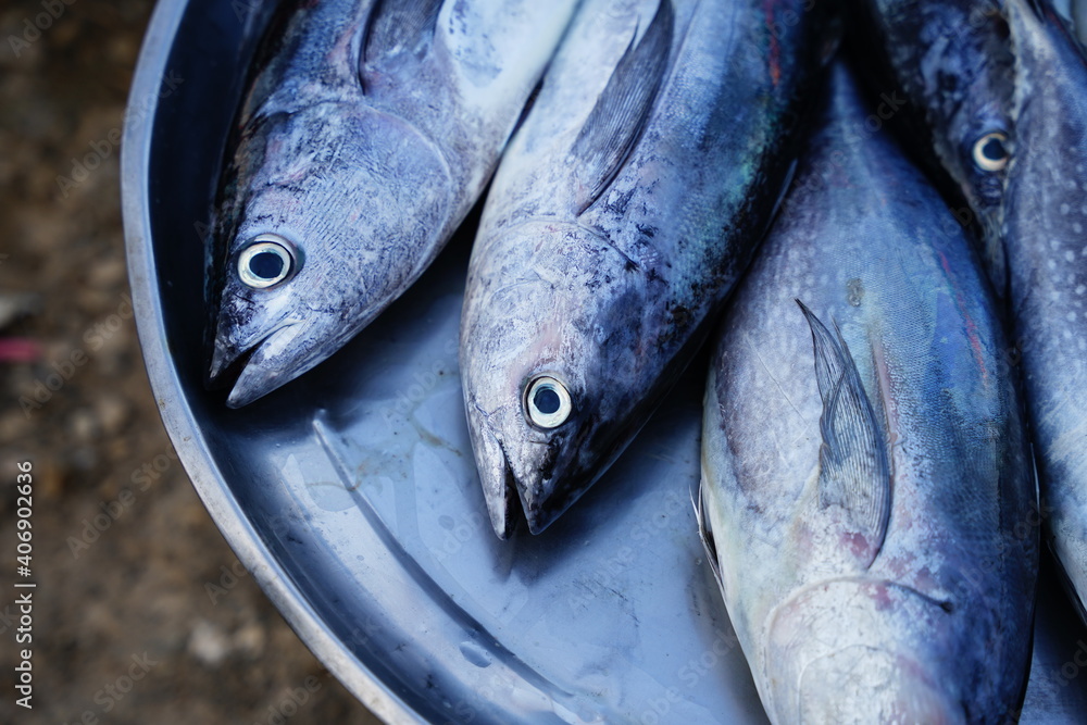 Obraz premium Fresh fish in the market