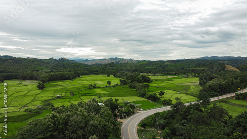 Aerial view of straight road in countryside and green paddy field sides road. © Chalearmrat