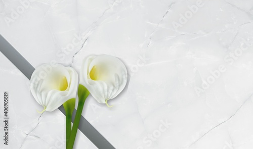 Wallpaper Mural Abstract. Torontodigital.ca