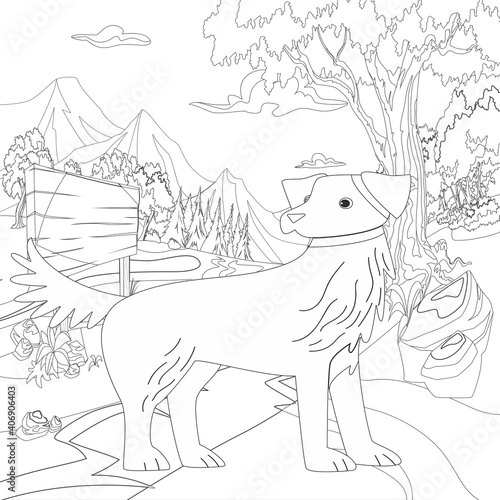 Adult coloring page  book a cute isolated dog  image for relaxing. Zen art style illustration. 