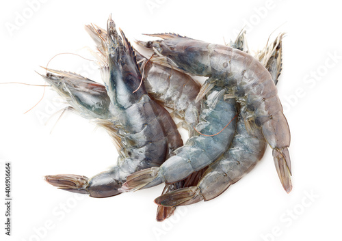 shrimps on a white background 