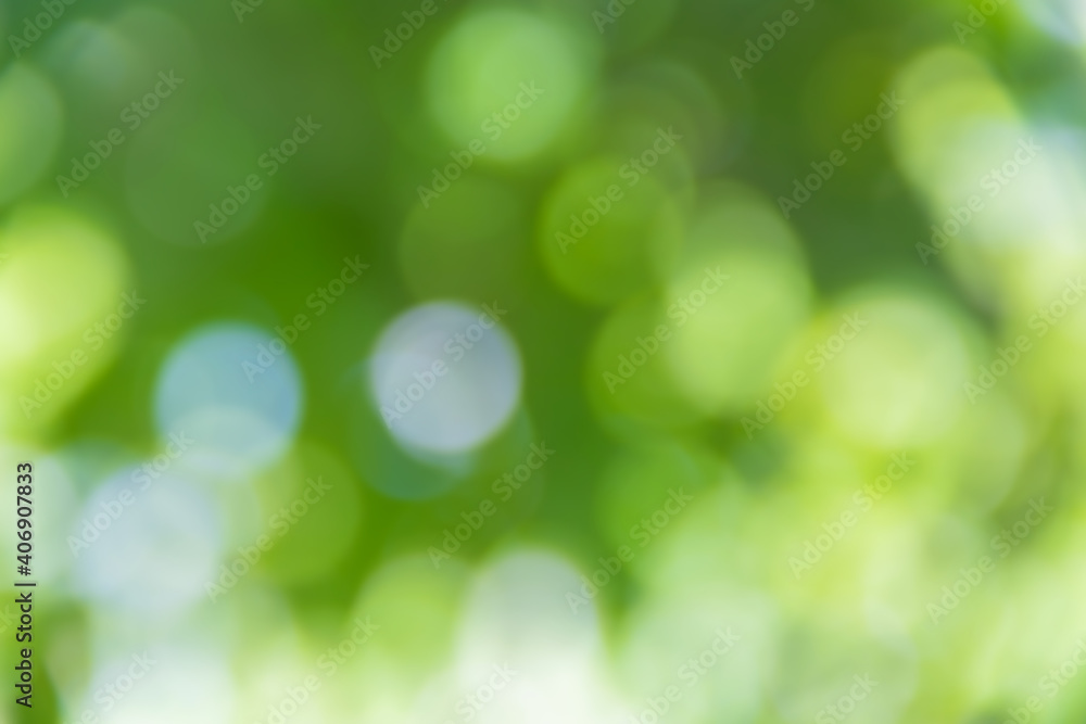 Fresh natural  green  background with abstract blurred foliage and bright summer sunlight.