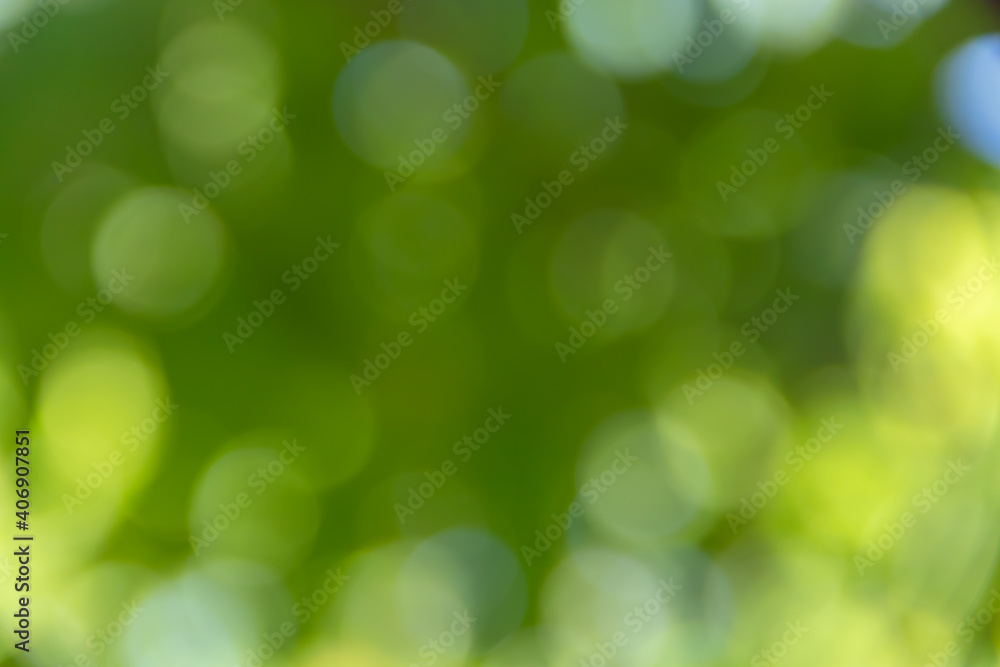 Bokeh nature of green leaves blur background. Bokeh nature of green leaves blur background.
