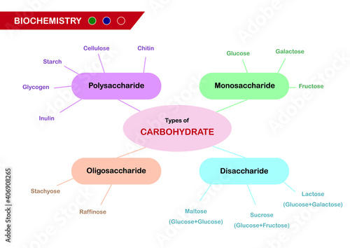 Biochemistry diagram present types of carbohydrate photo