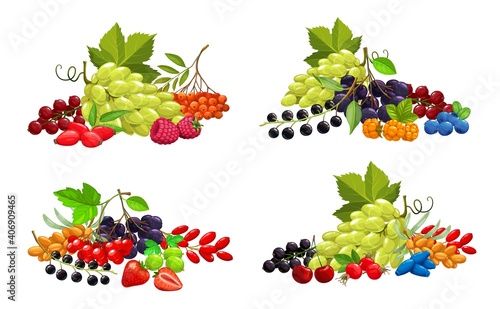 Cartoon berries vector strawberry, bunch of white grape and blackberry, raspberry, cherry, black and red currant with blueberry. berries sea buthorn, honeysuckle and bird cherry, black chokeberry photo